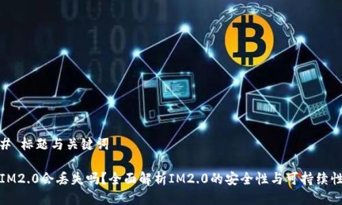 # 标题与关键词

IM2.0会丢失吗？全面解析IM2.0的安全性与可持续性