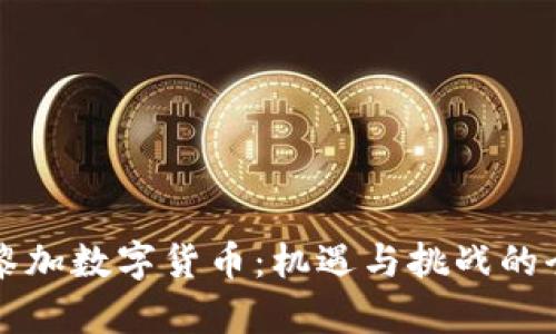 哥斯达黎加数字货币：机遇与挑战的全面解析