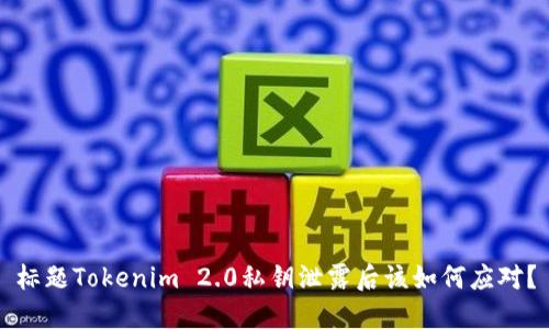 标题Tokenim 2.0私钥泄露后该如何应对？