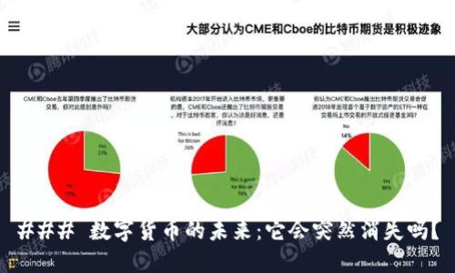 ### 数字货币的未来：它会突然消失吗？