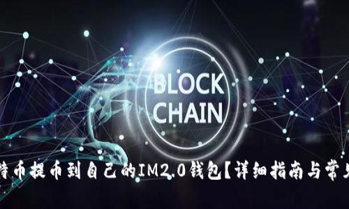 如何将比特币提币到自己的IM2.0钱包？详细指南与常见问题解答