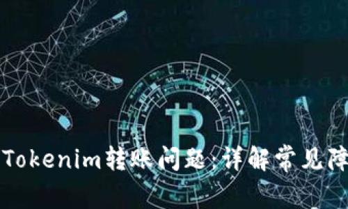 标题如何解决Tokenim转账问题：详解常见障碍及解决方案