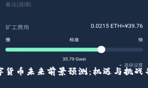 数字货币未来前景预测：机遇与挑战并存