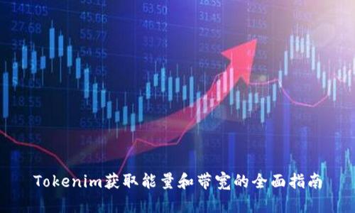 Tokenim获取能量和带宽的全面指南