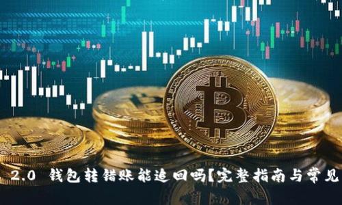 Tokenim 2.0 钱包转错账能追回吗？完整指南与常见问题解答