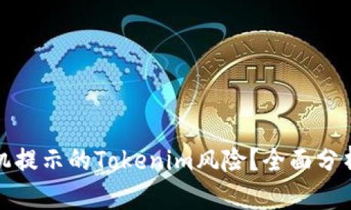 如何应对手机提示的Tokenim风险？全面分析及应对策略