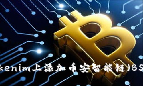 如何在Tokenim上添加币安智能链（BSC）的支持