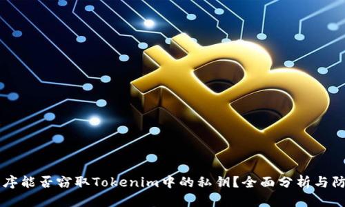 恶意程序能否窃取Tokenim中的私钥？全面分析与防范对策