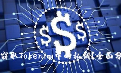 恶意程序能否窃取Tokenim中的私钥？全面分析与防范对策