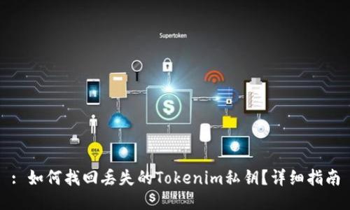 : 如何找回丢失的Tokenim私钥？详细指南