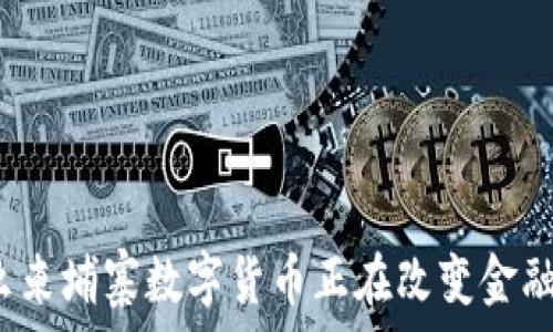   
为什么柬埔寨数字货币正在改变金融未来？