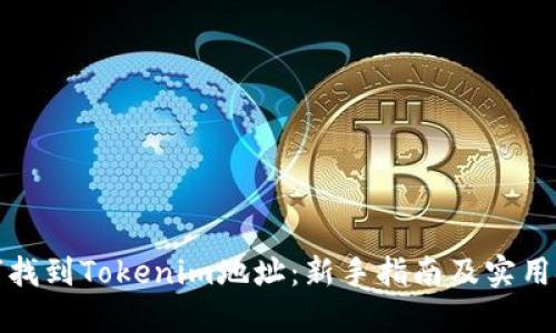 如何找到Tokenim地址：新手指南及实用技巧