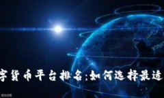 2024年国产数字货币平台排