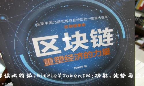 全面解读比特派（BitPie）TokenIM：功能、优势与应用前景