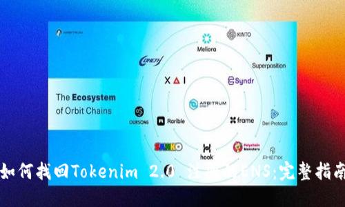 如何找回Tokenim 2.0 注册的ENS：完整指南