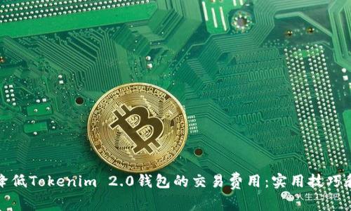 如何降低Tokenim 2.0钱包的交易费用：实用技巧和建议