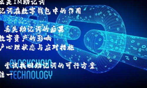 如何找回丢失的IM助记词与钱包：详细指南

IM助记词, 钱包恢复, 区块链安全, 电子钱包找回/guanjianci

## 内容主体大纲

### 1. 引言
   - 介绍IM助记词及其重要性
   - 统计丢失助记词的常见原因

### 2. IM助记词的基本概念
   - 什么是IM助记词
   - 助记词在数字钱包中的作用

### 3. 丢失助记词的后果
   - 对数字资产的影响
   - 用户心理状态与应对措施

### 4. 尝试找回助记词的可行方案
   - 方法一