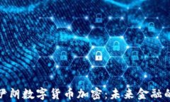全面解析伊朗数字货币加