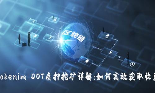 Tokenim DOT质押挖矿详解：如何高效获取收益