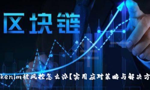 Tokenim被风控怎么办？实用应对策略与解决方案