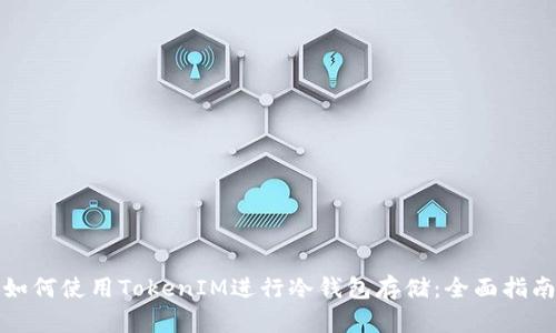 如何使用TokenIM进行冷钱包存储：全面指南