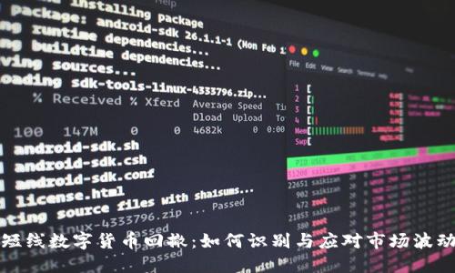 短线数字货币回撤：如何识别与应对市场波动