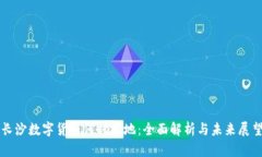 长沙数字货币何时落地：全面解析与未来展望