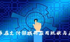 数字货币在支付领域的应用现状与未来展望