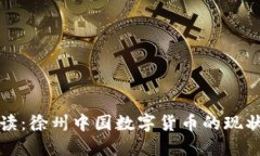 全面解读：徐州中国数字货币的现状与未来