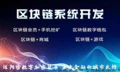   迈阿密数字加密货币：未来金融的城市先锋