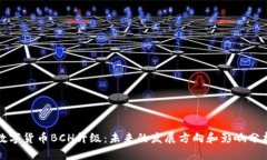 数字货币BCH升级：未来的发展方向和影响分析