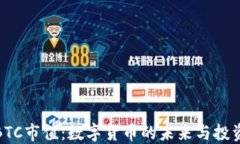 解密BTC市值：数字货币的未来与投资机会