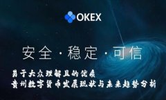 易于大众理解且的优质贵州数字货币发展现状与