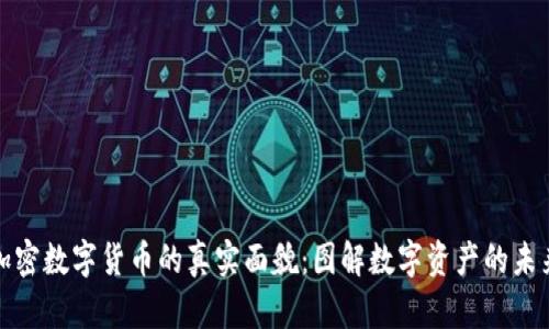 加密数字货币的真实面貌：图解数字资产的未来
