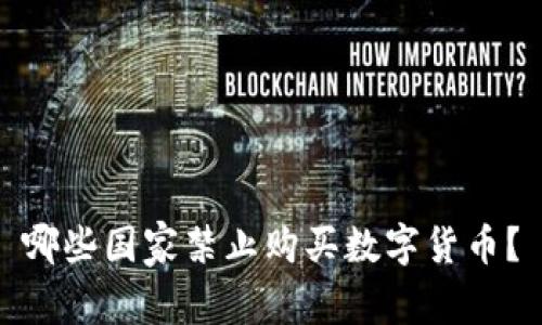 哪些国家禁止购买数字货币？