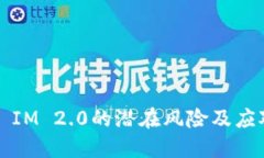 ### IM 2.0的潜在风险及应对
