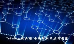 Tokenim放大额：全面解析及