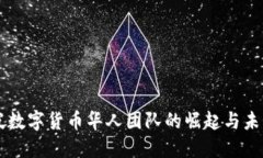 新加坡数字货币华人团队