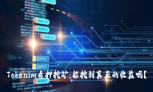 Tokenim质押挖矿：能挖到真正的收益吗？