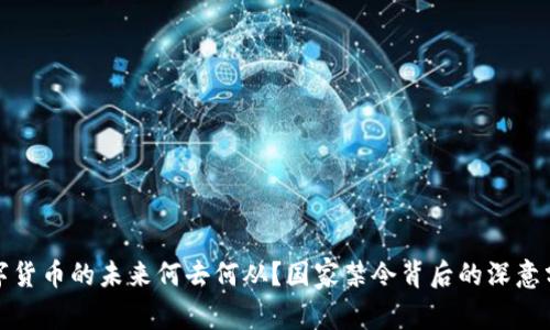 数字货币的未来何去何从？国家禁令背后的深意分析