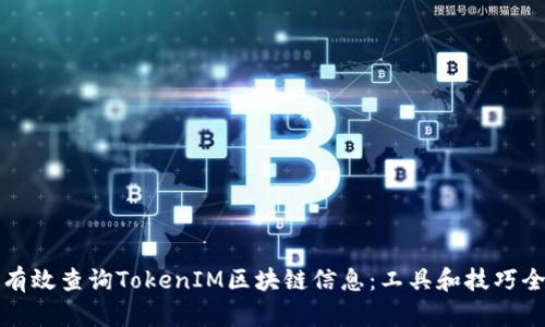 如何有效查询TokenIM区块链信息：工具和技巧全解析