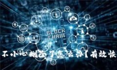 imToken 2.0不小心删除了怎么办？有效恢复与使用技