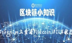 如何在TokenIm上查看Fileco