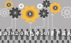 如何解决IM2.0钱包中DOT资产