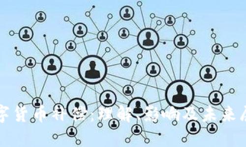 数字货币补偿：理解、影响及未来展望