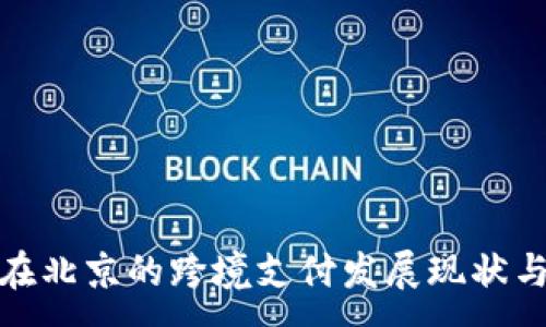 :
数字货币在北京的跨境支付发展现状与未来趋势