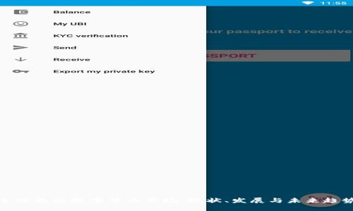 全球最大数字货币市场：现状、发展与未来趋势