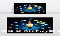 imToken 2.0如何通过BitPay提取