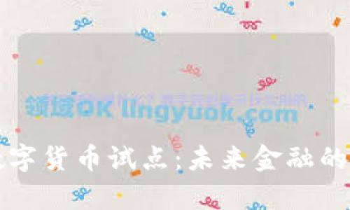 央行数字货币试点：未来金融的新篇章