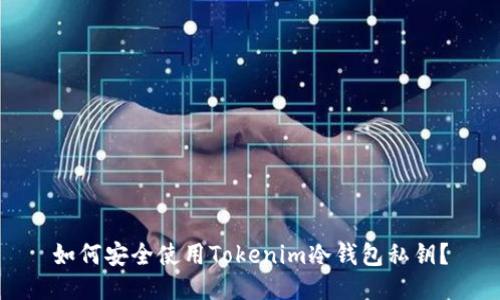 如何安全使用Tokenim冷钱包私钥？